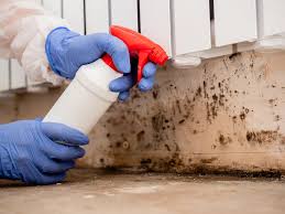 Mold Odor Removal Services in Mariemont, OH